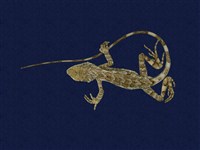 藏品(斯文豪氏攀蜥)的圖片